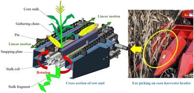 Measurement and Analysis of Root Anchorage Effect on Stalk Forces in Lodged Corn Harvesting